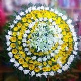 安宁开业花篮